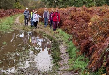 Randonnée Marche Cuverville - Cuverville - Photo