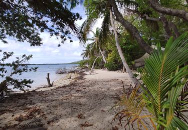 Trail Walking Sainte-Anne - baie des anglais - Photo