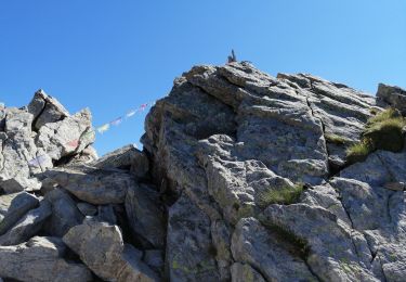 Excursión Senderismo Saint-Martin-Vésubie - Cime ouest de fenestre  - Photo