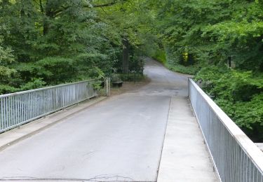 Percorso A piedi  - Küllenhahn Rundweg A1 - Photo