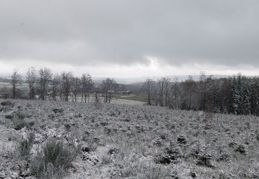 Trail Walking Saint-Hubert - Arville 021221 - Photo