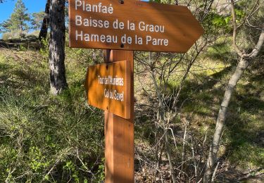 Tour Wandern Lucéram - Col St Roch boucle - Photo