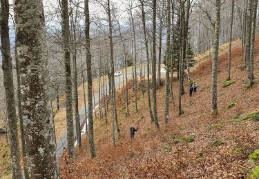 Tour Wandern Sacoué - Le Tourroc depuis Sacoué 65 - Photo