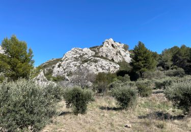 Randonnée Marche Aureille - PF-Aureille - La Vallongue d'Aureille - MDu - Photo