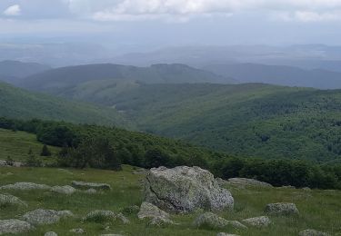 Excursión Senderismo Meyrueis - Meyrues à observatoire Mont Aigoual  - Photo