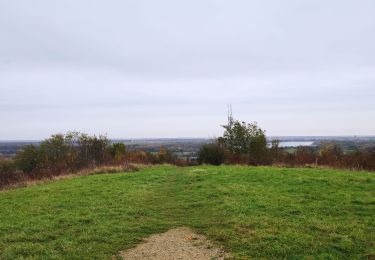 Tour Mountainbike Élancourt - VTT elancourt - Photo