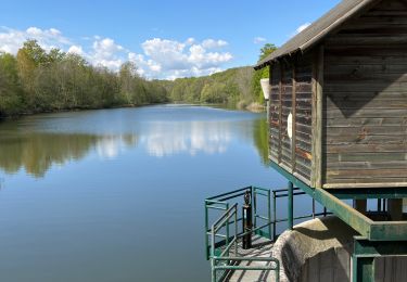 Tour Wandern Jouy-en-Josas - Haute vallée de la Bievres SG - Photo