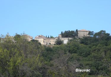 Randonnée Marche Blauvac - PF-Blauvac - N.D. des Neiges - Le Sommet de Gacholle - FV - Photo