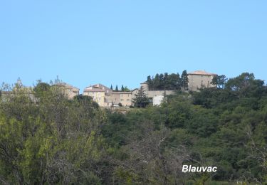 Excursión Senderismo Blauvac - blauvac - Photo