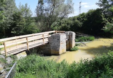 Trail Walking Gragnague - Ronde des berges Gragnagne - Photo