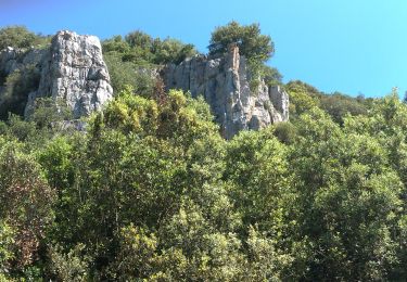 Trail Walking Seillons-Source-d'Argens - Seillons source d'Argens... rocher des abeilles... la bastidasse - Photo