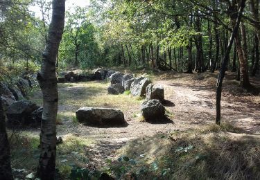 Excursión Senderismo Néant-sur-Yvel - TUMULUS DU JARDIN AUX MOINES (9/20) - Photo