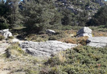 Tocht Stappen Sainte-Eulalie - Gerbier - Photo