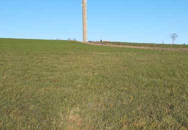 Tour Wandern Durbuy - warre Tohogne Vedeur ac - Photo