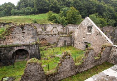 Tour Zu Fuß Orbaizeta - Arlekia-Lauzaran - Photo