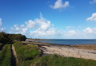 Trail Walking Réville - Reville Barfleur boucle - Photo