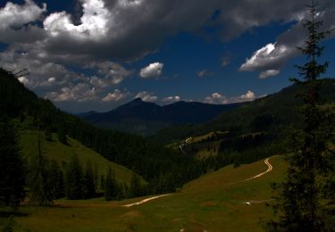 Trail On foot Gemeinde Walchsee - Wanderweg 53 - Kaiserwinkl - Photo