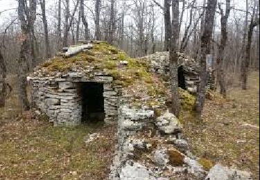 Tocht Stappen Savignac-les-Églises - Boucle du Camp de la Hache - Photo