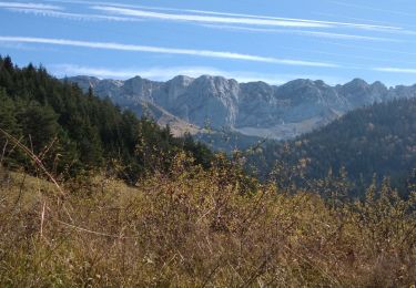 Tocht Stappen Villard-de-Lans - VILLARD VALLON DE LA FAUGE - Photo