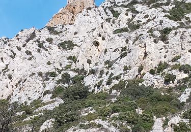 Randonnée Marche Maury - Le dernier bastion cathare  - Photo