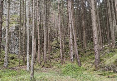 Trail Walking  - Randonnée au sommet ADNANESNUTEN  - Photo