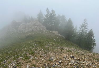 Tocht Stappen Roure - Mont Gravières - Photo