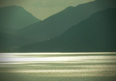 Tocht Te voet Torri del Benaco - Crero - Albisano - Photo