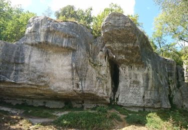 Tour Wandern Puymoyen - Puymoyen vallée des eaux claires par centre équestre élevage de cerfs - Photo