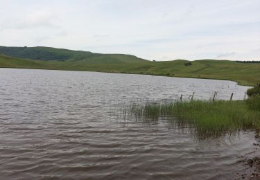 Tour Wandern Saint-Alyre-ès-Montagne - Jassy brion La Godivelle  - Photo