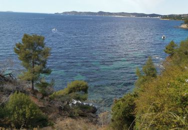 Randonnée Vélo de route Le Lavandou - le lavandou  cavalaire - Photo