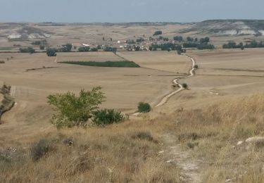 Randonnée Marche Burgos - Hornillos del Camino  - Photo