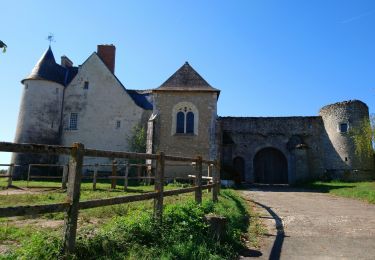 Tocht Stappen Veuzain-sur-Loire - Onzain - GR3 Chouzy-sur-Cisse GR353B - 24.7km 250m 5h45 (30mn) - 2022 09 18 - Photo