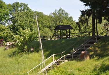 Percorso A piedi Joachimsthal - Rundweg Grimnitzsee - Photo