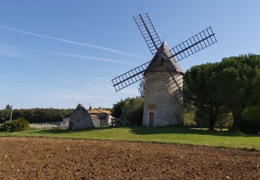 Tour Wandern Grézac - Grézac mairie  - Photo