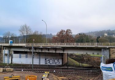 Tour Zu Fuß Schieren - Fleche Bleu Schieren - Photo