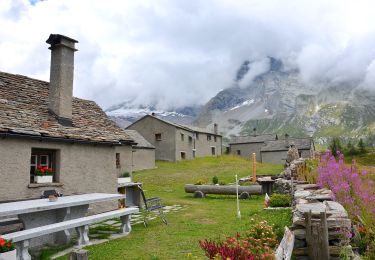 Trail On foot Simplon - Rundweg Simplon-Bergalpe - Photo