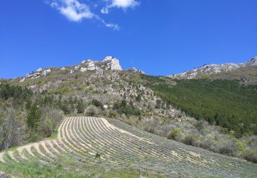 Trail Walking Brette - la Servelle  - Photo
