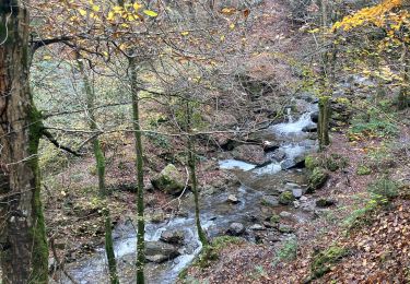 Trail Walking Aywaille - Ninglinspii - Photo