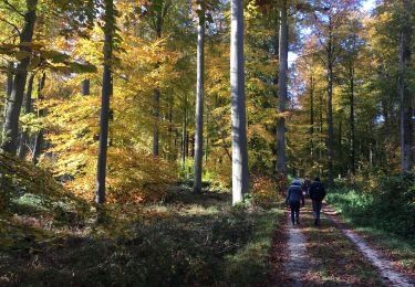 Tour Wandern La Hulpe - Château de la Hulpe - Photo