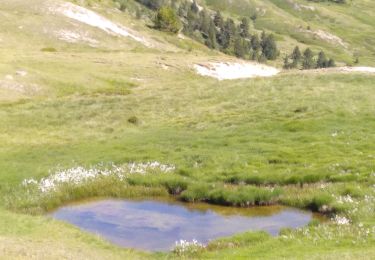 Trail Walking Saint-Chaffrey - col du granon-croix de la cime - Photo