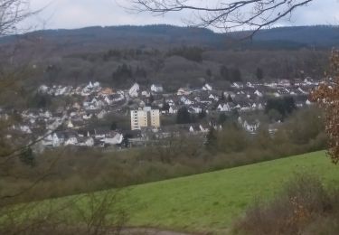 Trail On foot Idar-Oberstein - Rundweg M3 - Photo