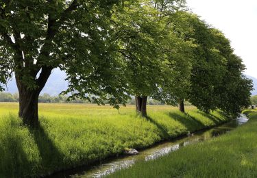 Percorso A piedi Gemeinde Ebbs - Fohlenhof-Runde - Photo