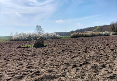 Trail Walking Chaumes-en-Brie - chaumes en brie  - Photo