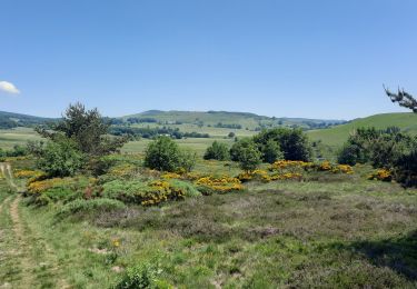 Randonnée Marche Sagnes-et-Goudoulet - Les Coux-Sagnes-Tour à Eau 14km - Photo