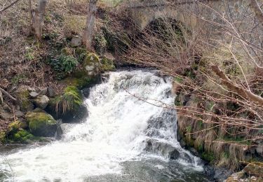 Excursión Senderismo Besse-et-Saint-Anastaise - Cascades de Chiloza - Photo