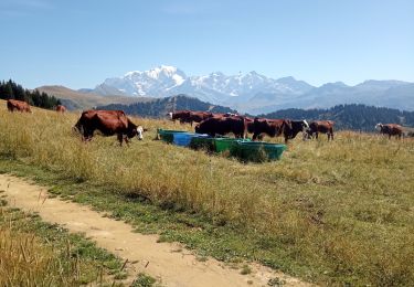 Tocht Mountainbike Hauteluce - les saisies - Photo