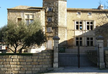 Tocht Te voet Générac - Le Puech du Moulin à vent - Photo