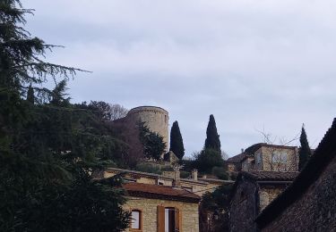 Randonnée Marche Vénéjan - Vénéjean Chateau de Gicon - Photo