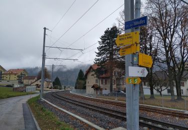 Tocht Te voet Sainte-Croix - Sainte Croix-La Gittaz - Photo