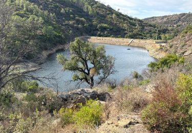 Trail Walking La Garde-Freinet - Garde freinet rev - Photo